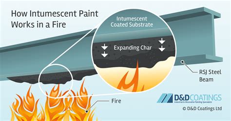 ¿Insulating your future with Intumescent Materials? Understanding this remarkable fire-retardant marvel!